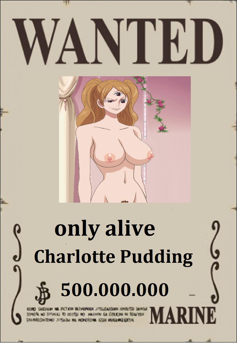One Piece XXX Steckbriefe page 8 full