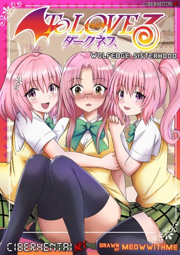 Wolfedge Sisterhood cover