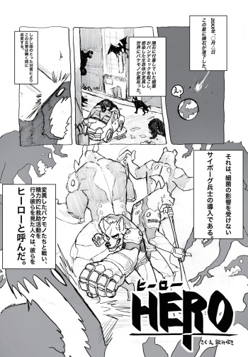 HERO cover
