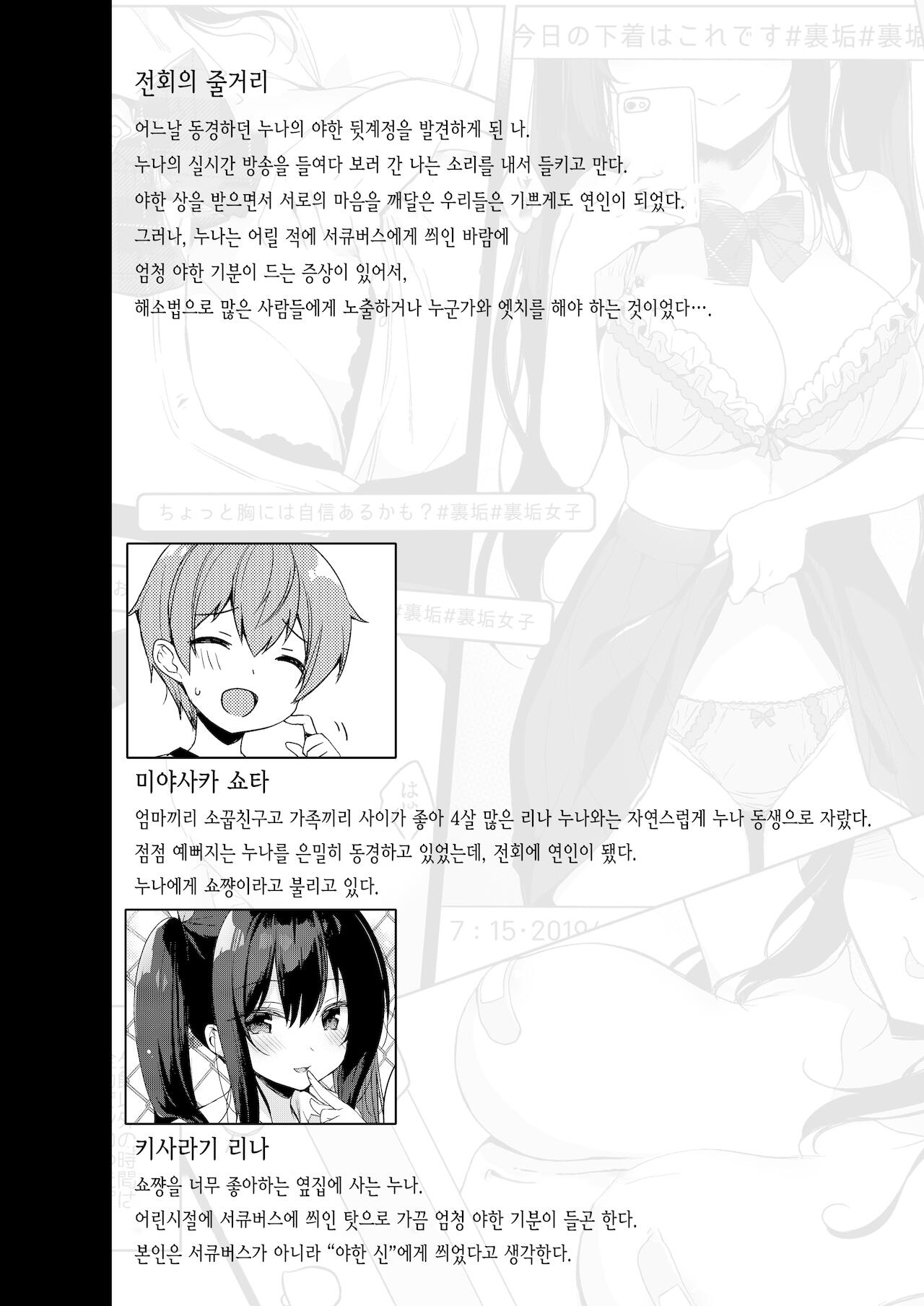 Succubus-kei Onee-chan wa Misetagari 2 | 서큐버스계 누나는 보여주고 싶어 2 page 3 full