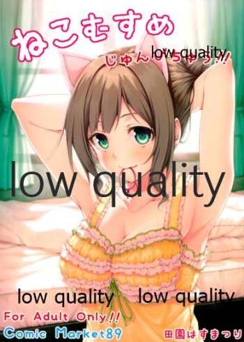 ねこむすめ じゅんびちゅう!! cover