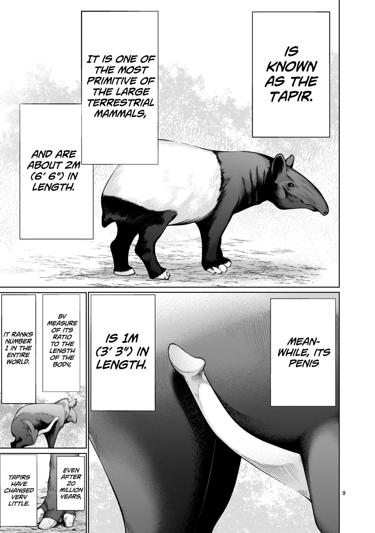 Isn't It Too Much? Inaba-san/Hoshi Gari Sugidesho? Inaba-san chapter 11 page 8 full
