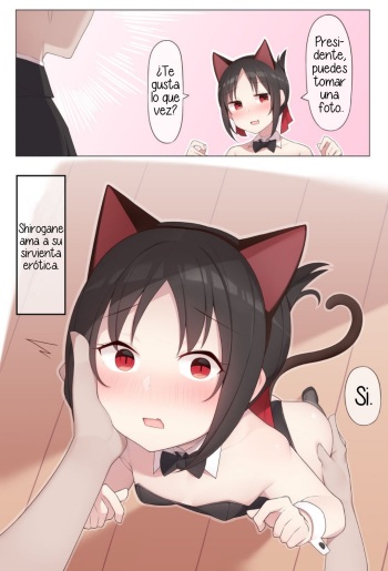 Nekomimi no Kaguya-sama cover
