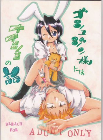 Goshujin-sama ni wa naisho no hanashi cover