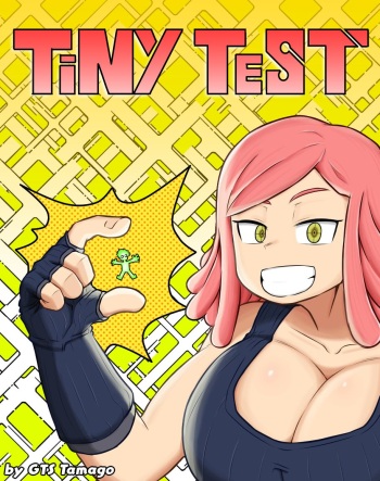 Tiny Test cover