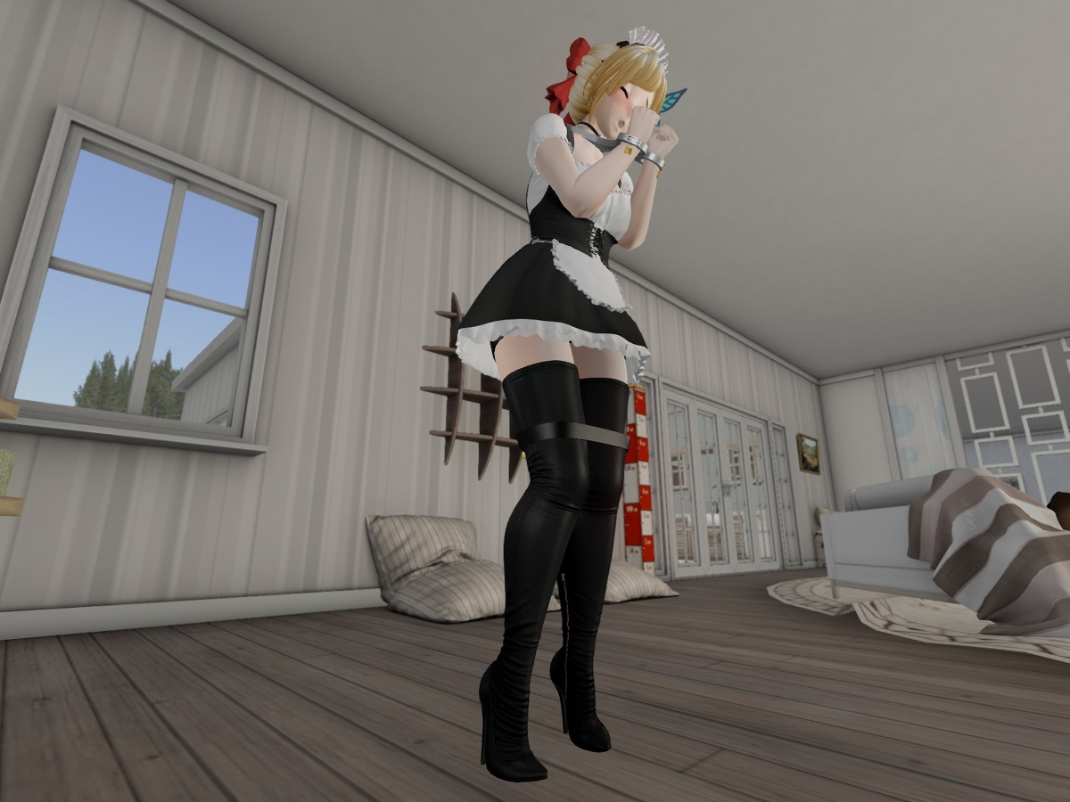 Stainless Steel chastity device bondage maid costume page 7 full
