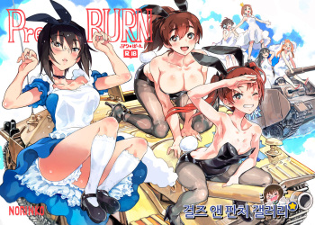 Pre-BURN cover