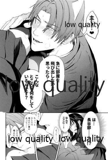 食欲旺盛な忠犬達と page 9 full