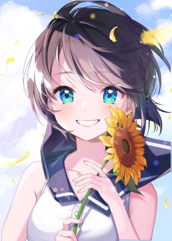noka cover