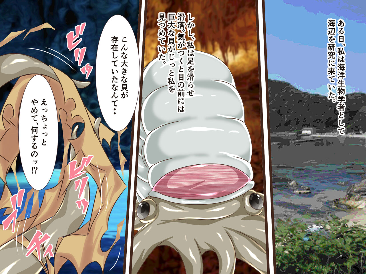 巨大貝の孕み袋になった海洋研究家 page 3 full