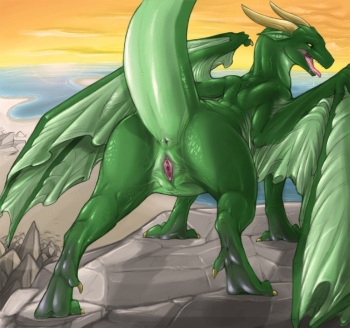 Feral Dragons cover