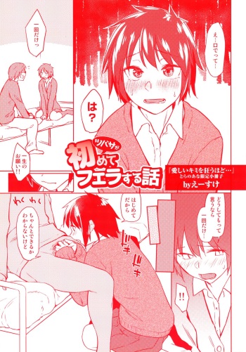 Itoshii Kimi wo Kuruu Hodo Toranoana Gentei 4P Leaflet Tsubasa ga Hajimete Fera suru Hanashi cover