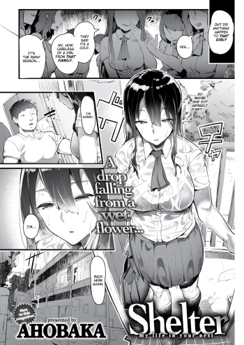 Shelter cover