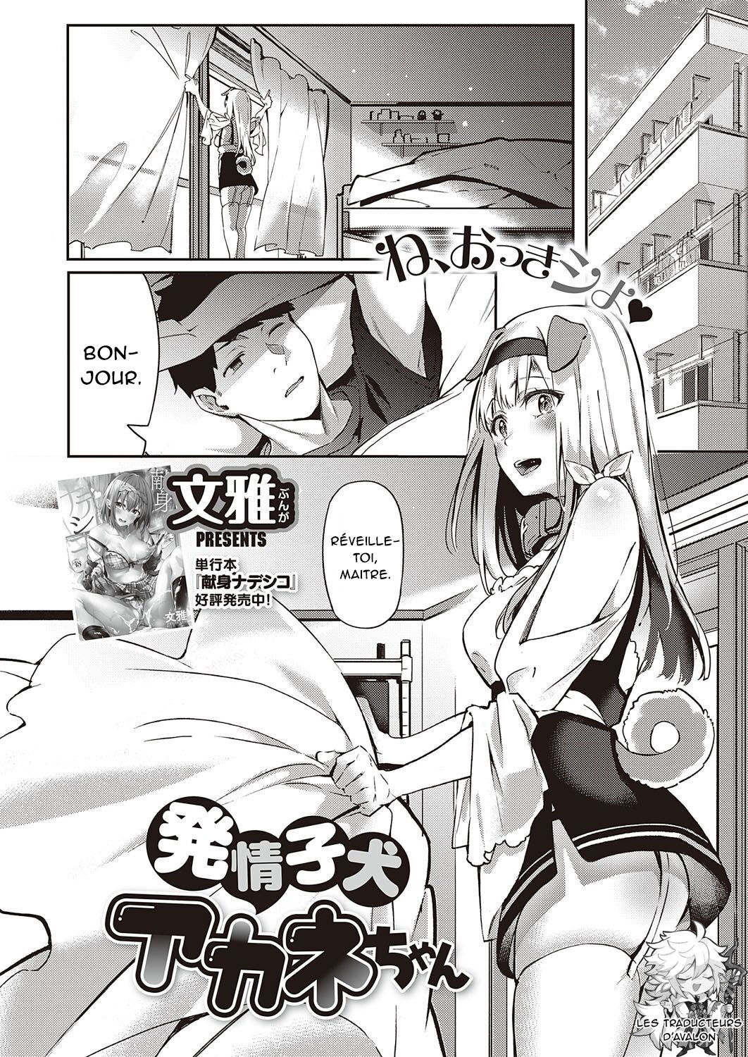 Hatsujou Koinu Akane-chan page 1 full
