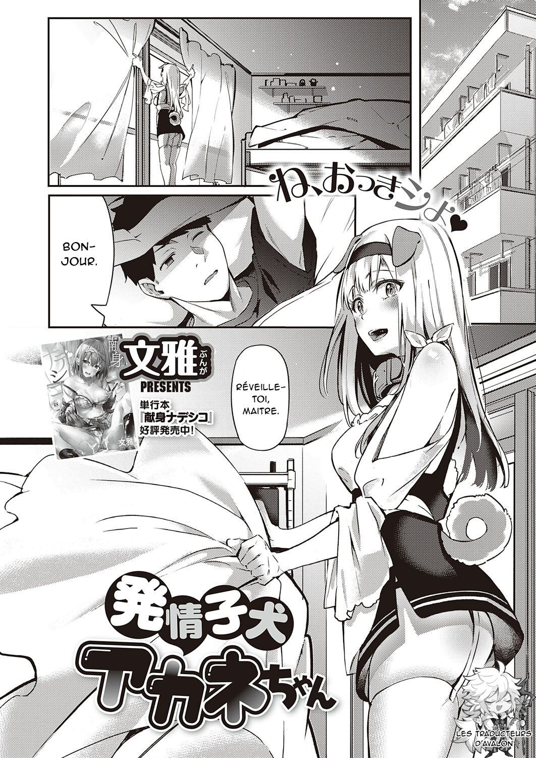 Hatsujou Koinu Akane-chan page 3 full
