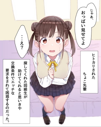 ヒトカリされたちょこ先 cover