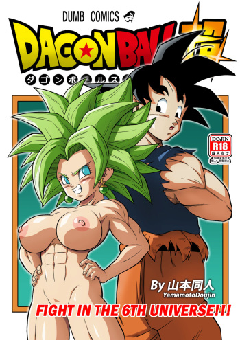 Fight in the 6th Universe!! cover