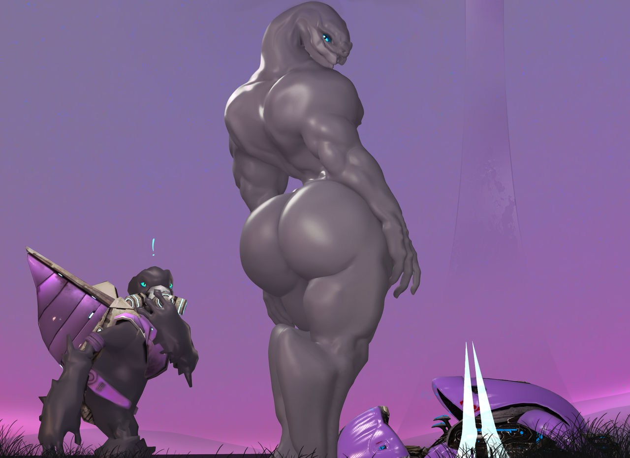 sangheili mega galería page 1 full