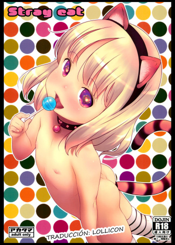 Stray cat cover