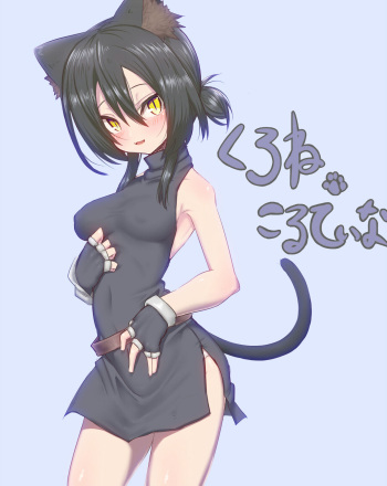 Rafoll cover