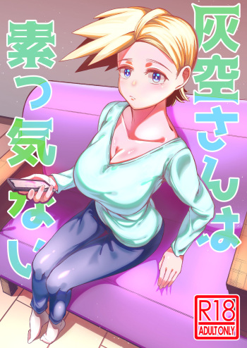 Haikara-san wa Sokkenai cover