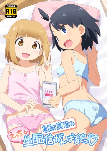 Natsumi to Hina no Ecchi na Namahaishin Ganbaru zo! | Natsumi and Hina will do their best at their lewd live streaming! cover