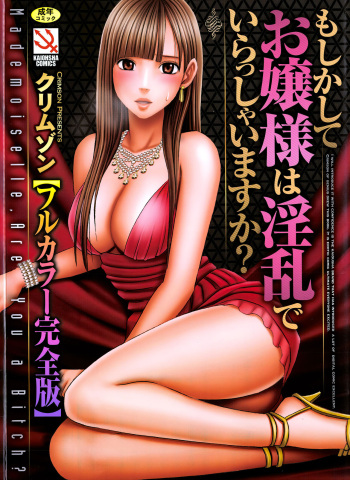 Muriyari Okasarete Konna ni Kanjite Shimawareru Nante… Moshikashite Ojousama wa Inran de Irasshaimasuka? cover