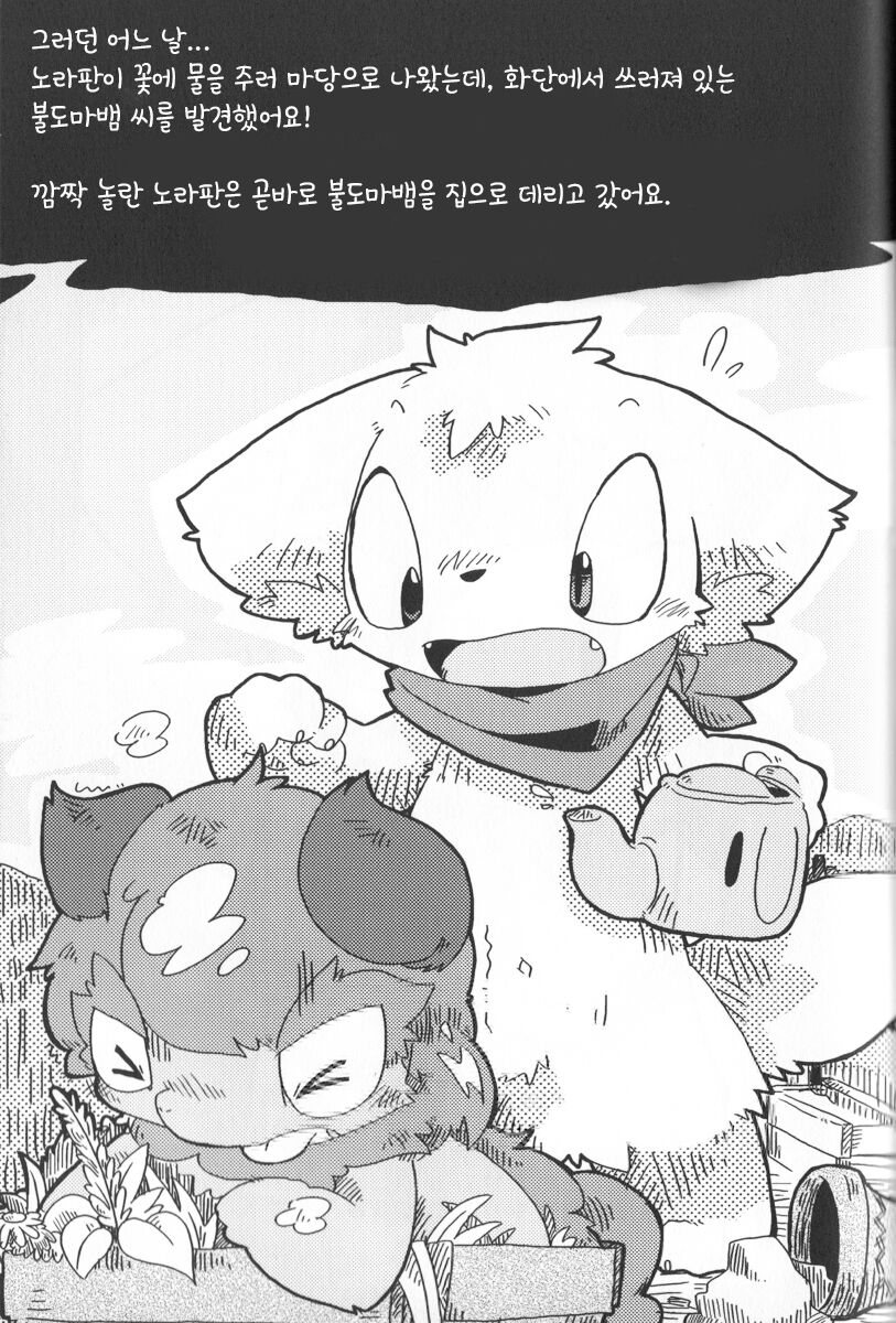 불도마뱀과 각설탕 page 5 full