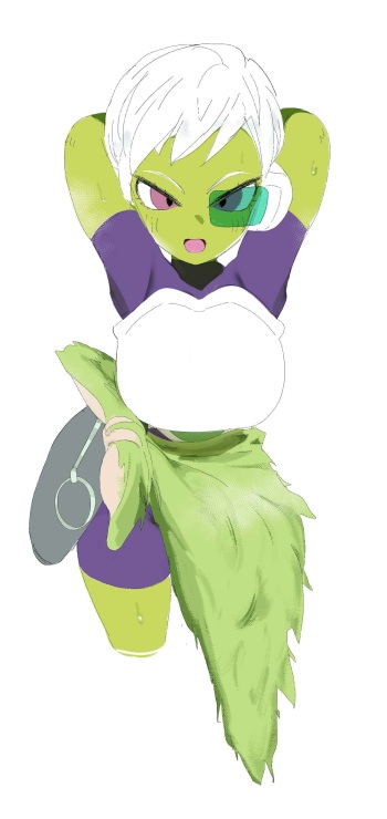 Cheelai x Broly cover