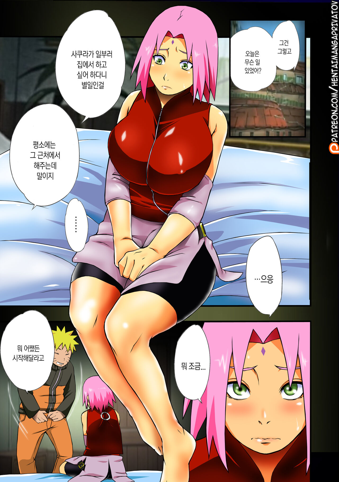 Botan to Sakura | 모란과 벚꽃 page 4 full