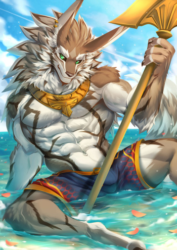 Seth cover
