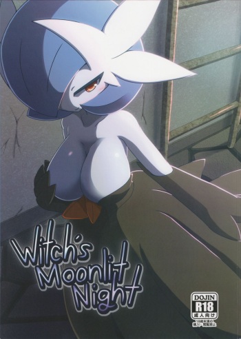 Witch's Moonlit Night cover