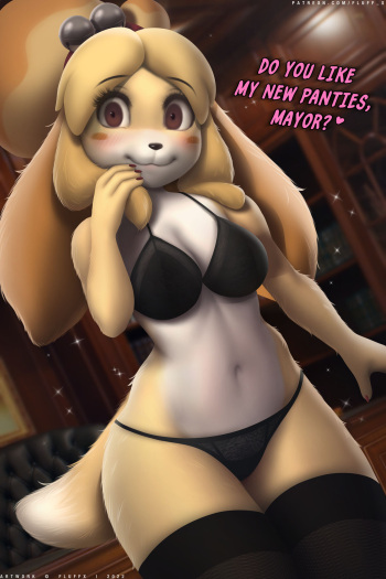 New Panties cover