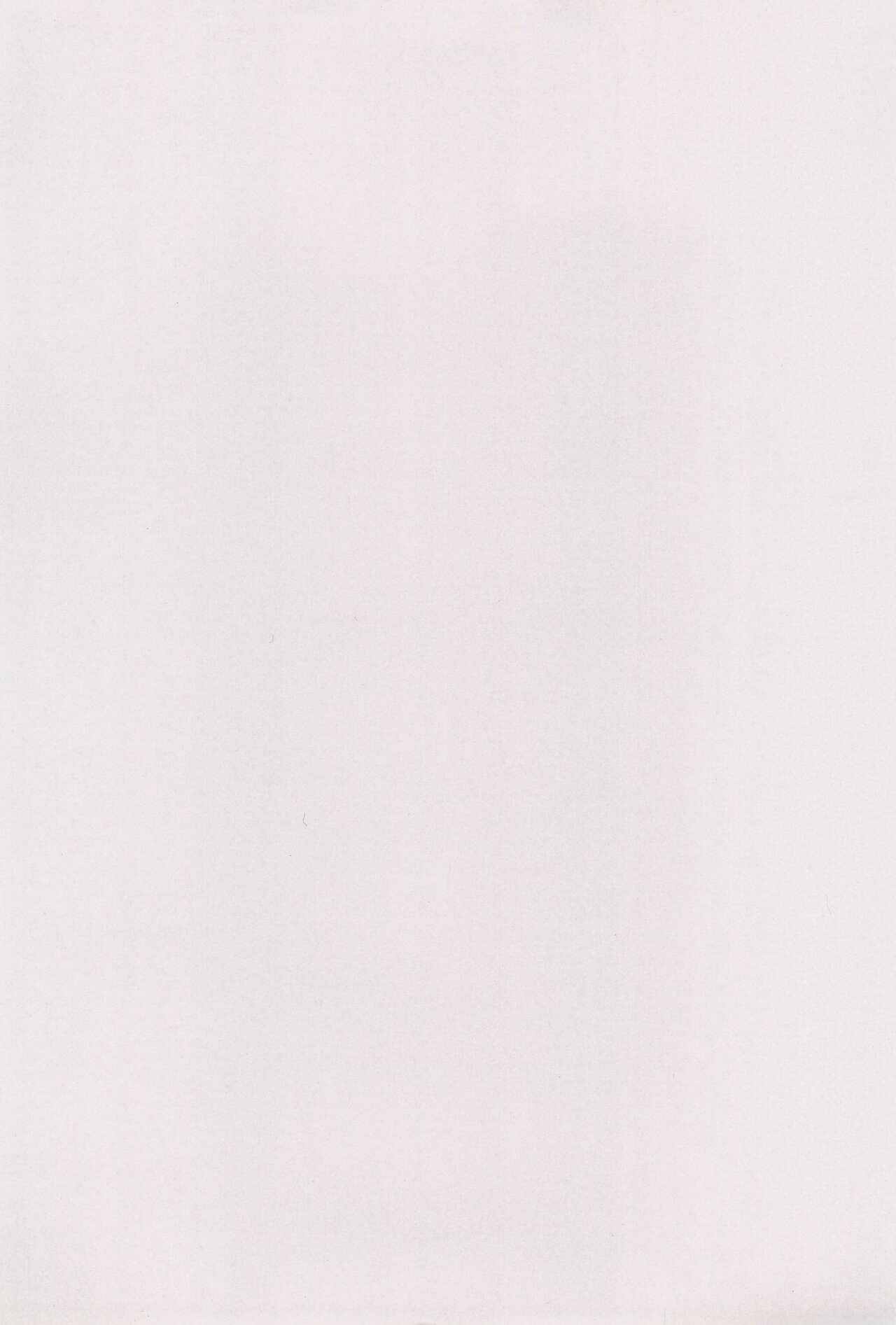 White Flats 2000 page 3 full