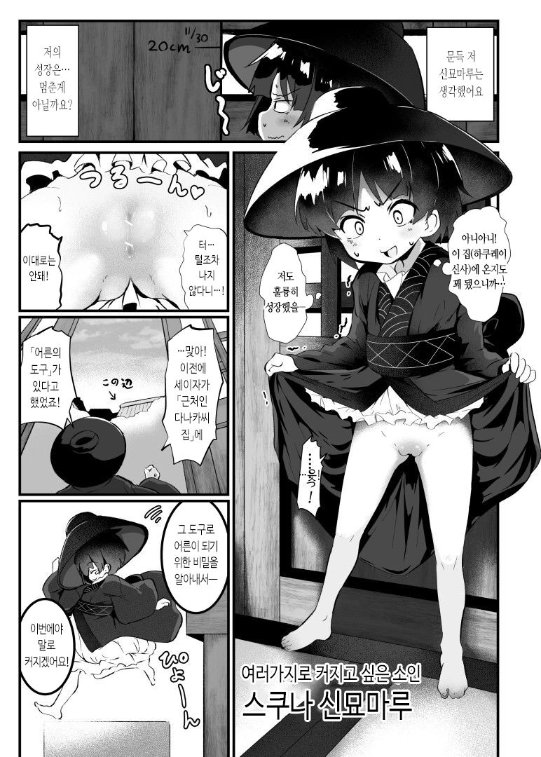 Shinmyoumaru ga Onaho ni Machigawareru Hon | 신묘마루가 오나홀로 오해받는 책 page 3 full