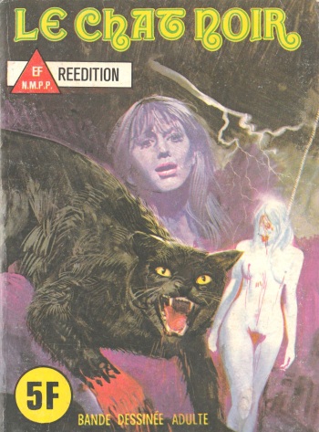 Série Bleue 015 - Le chat noir cover