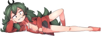 Mascot cover