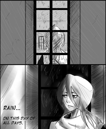 Rain cover