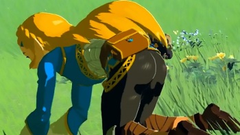 ZELDA cover