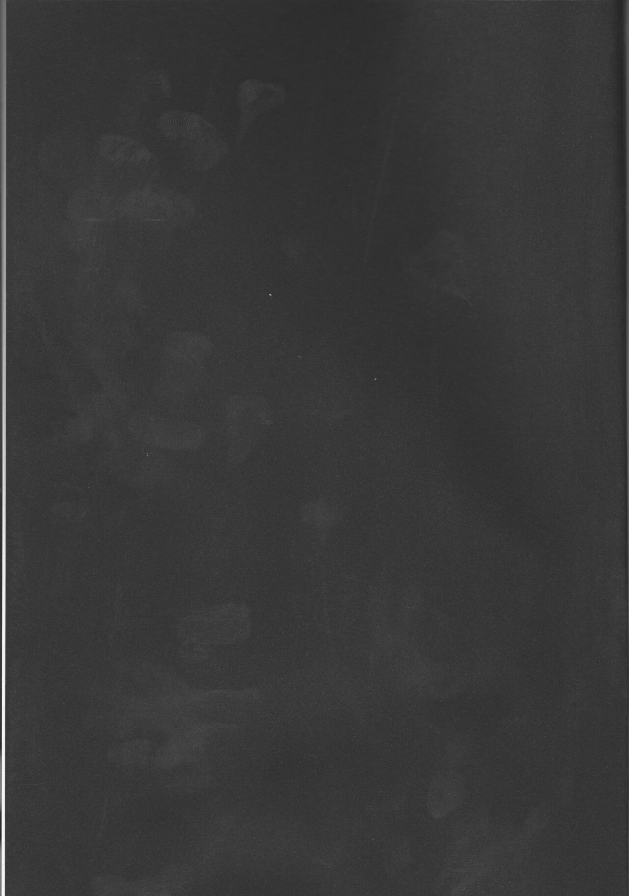 Hakuchū no kōseii page 2 full