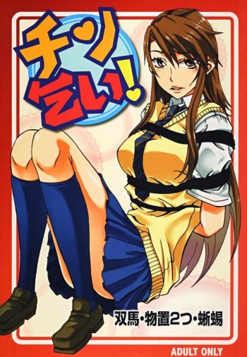 Chin Koi! cover