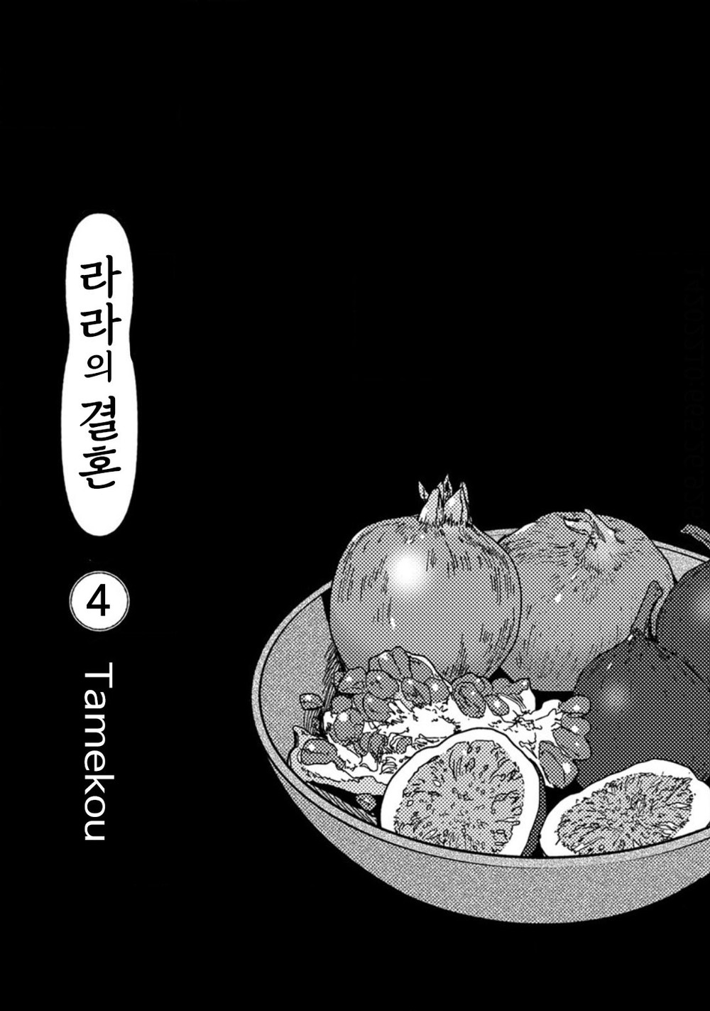 Lala no Kekkon – Vol.4 page 3 full