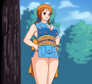 Nami Wano - Image Set cover