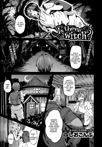 Is there a witch? cover