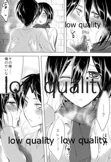 エレンとミカサがただのラブラブな本 page 7 full