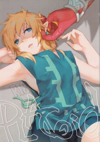 Placoid cover