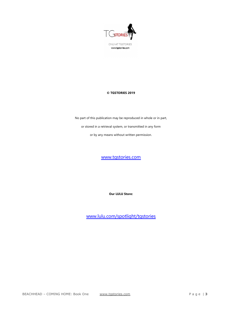 TheMightFenek-Beachhead vol 1 Coming Home page 3 full