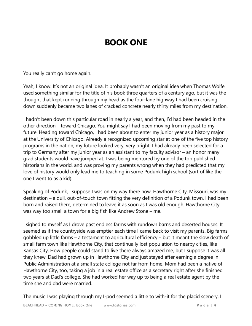 TheMightFenek-Beachhead vol 1 Coming Home page 4 full