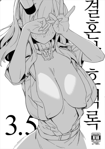 Kekkon Kan Sukebe Roku 3.5 cover