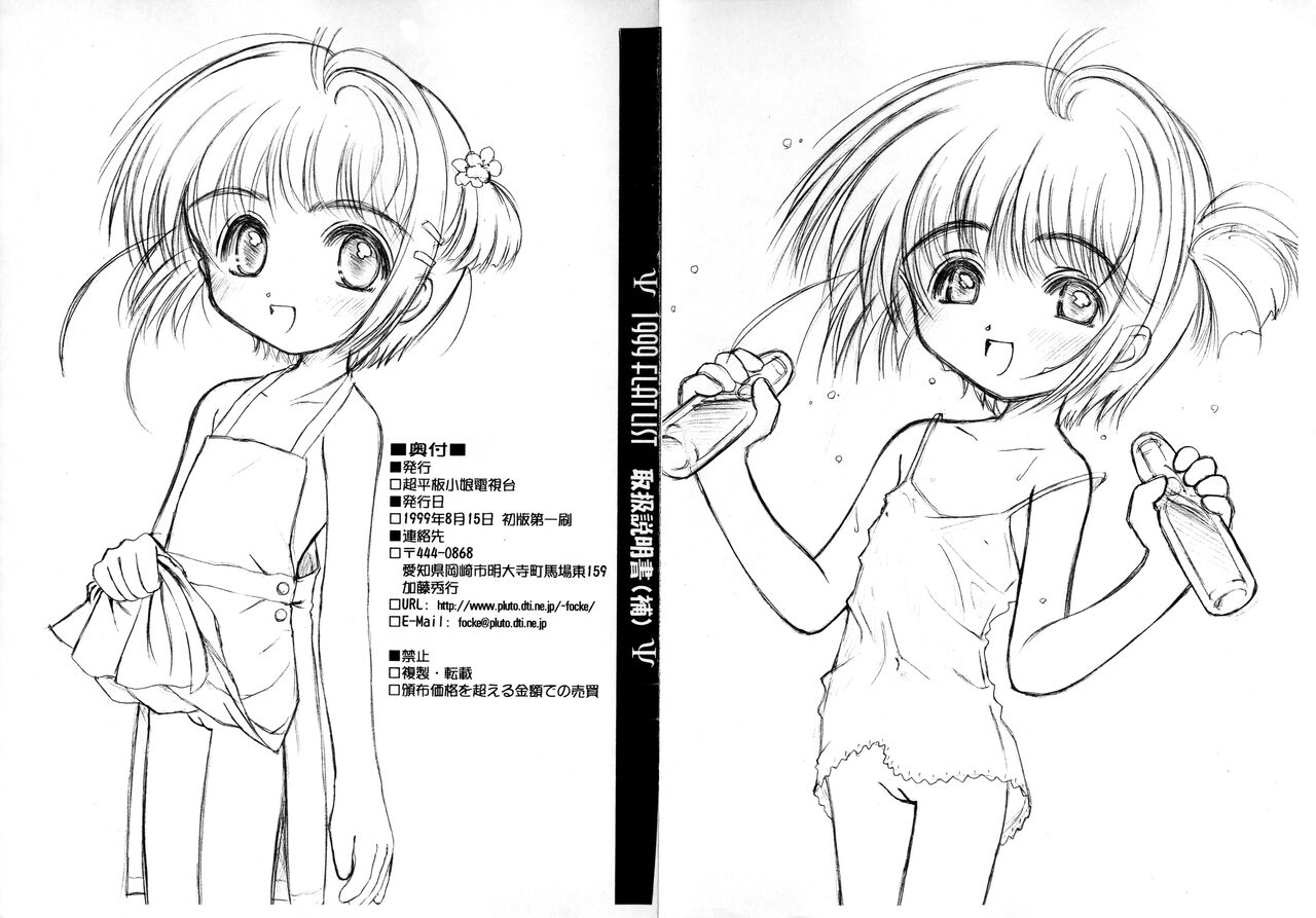 1999 FLAT LIST Toriatsukai Setsumeisho page 3 full